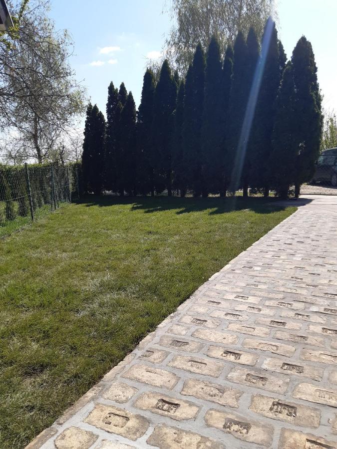 Palic Vila Masa Pr Emina Stipancevic Exterior photo